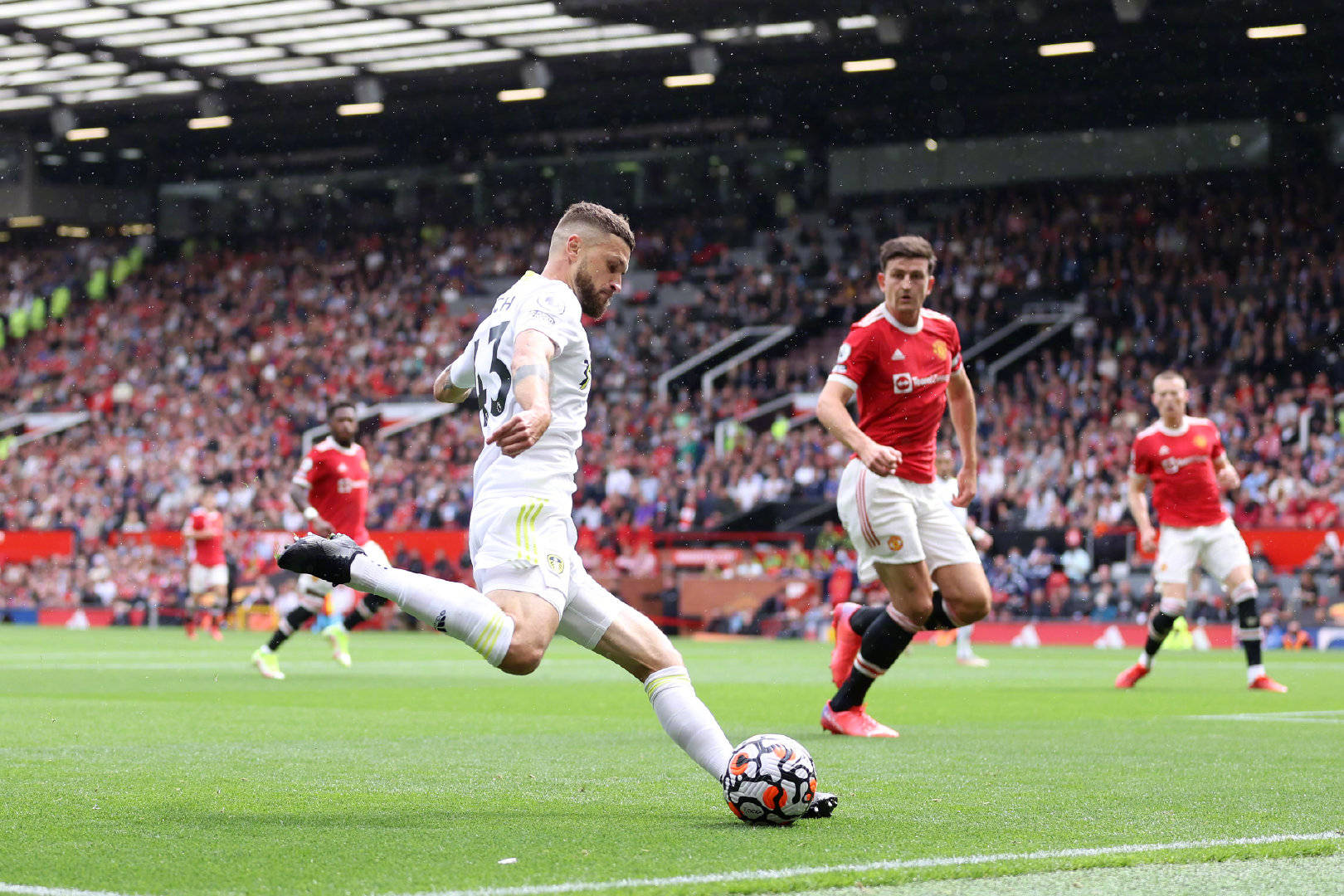 多种不同的 多种不同的